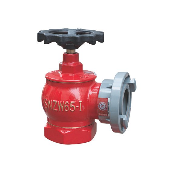 室内消火栓SNZW65-I 