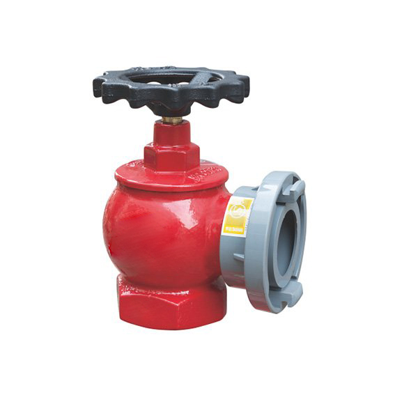 室内消火栓SNW65-I 