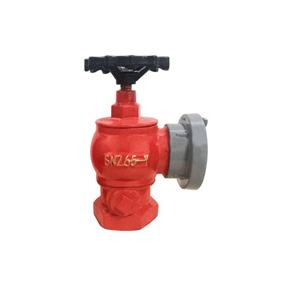 室内消火栓SNZ65-Y 