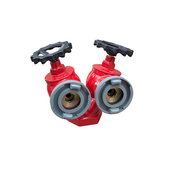 室内消火栓SNSSW65-I 